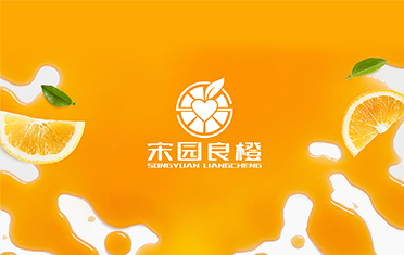 某良橙——怀化LOGO设计