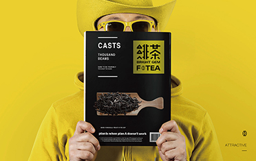 怀化绯茶品牌设计